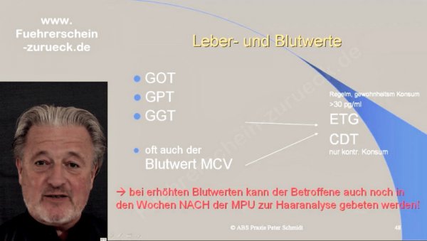 Ausschnitt aus meinem Seminar zum Thema Abstinenznachweise